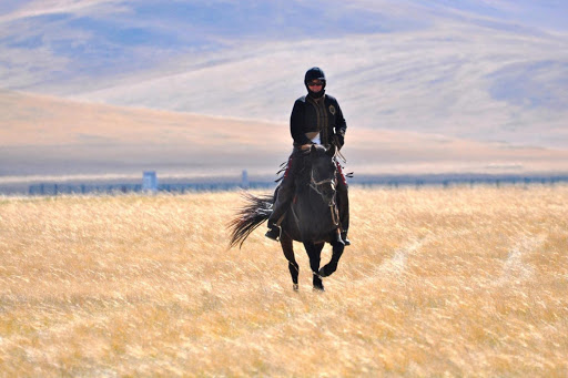 IonEnergyLtd_'s tweet photo. #FeelGoodFriday   October is #WomenHistoryMonth in Canada, and @IonEnergyLtd_ would like to recognize an #inspiring Canadian woman @JulieVeloo, making history in #Mongolia on a 700 km journey to raise $$ for local children

#GobiGallop #AdventureforGood #MakeADifference 🇨🇦🇲🇳 https://t.co/KTZOKye8zS