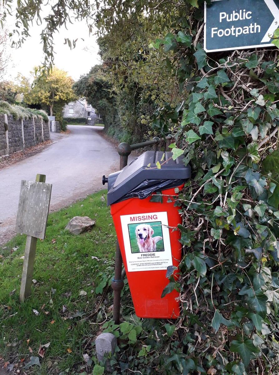 rosieDoc2's tweet photo. #findFreddie 
His posters are EVERYWHERE....pls would you talk to neighbours/friends/family in the #HolywellBeach area NEAR #PollyJoke ??? #Cornwall 
FREDDIE IS POSSIBLY STILL HIDING SCARED AFTER GETTING SPOOKED...or has someone found him n taking care of him? 
His family are 💔 https://t.co/dtX6SBZtDG