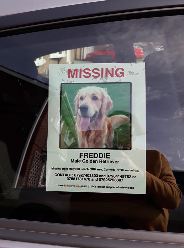 rosieDoc2's tweet photo. #findFreddie 
His posters are EVERYWHERE....pls would you talk to neighbours/friends/family in the #HolywellBeach area NEAR #PollyJoke ??? #Cornwall 
FREDDIE IS POSSIBLY STILL HIDING SCARED AFTER GETTING SPOOKED...or has someone found him n taking care of him? 
His family are 💔 https://t.co/dtX6SBZtDG