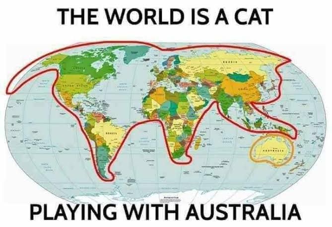 comparebear_nz's tweet photo. What do you make of #NZ then? https://t.co/dk1mz6UHQZ