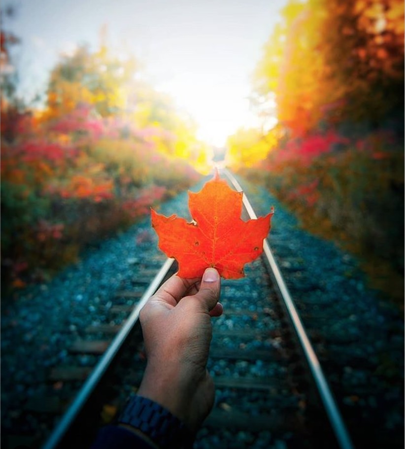 As the week draws to an end, just a reminder of 🇨🇦's Autumn Beauty 🍂 Let's stay united, look out for one another 👊🏽, and together we will get through this... as always #TorontoStrong 💙

📷 c/o IG: rahuul_s 🙏🏼 for this pic and this morning's shot as well 🍁