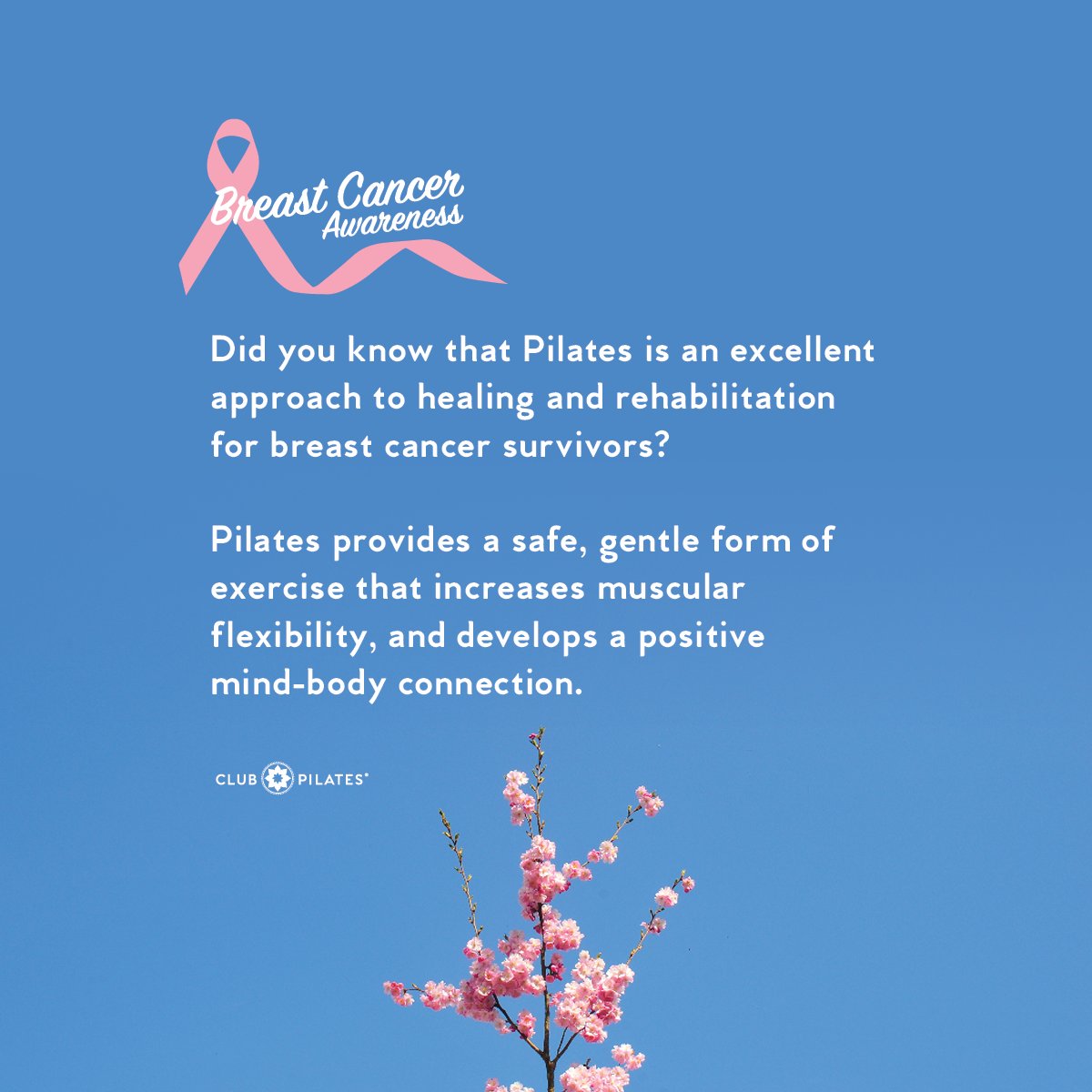 PortChesterCP's tweet photo. Not only is Pilates great for boosting your immune system, it is also an amazing rehabilitation tool, which is why many breast cancer survivors fall in love with the practice! #BreastCancerAwareness #breastcancer #recovery #wellness #rehabilitation #survivor https://t.co/1gLWacJdG3