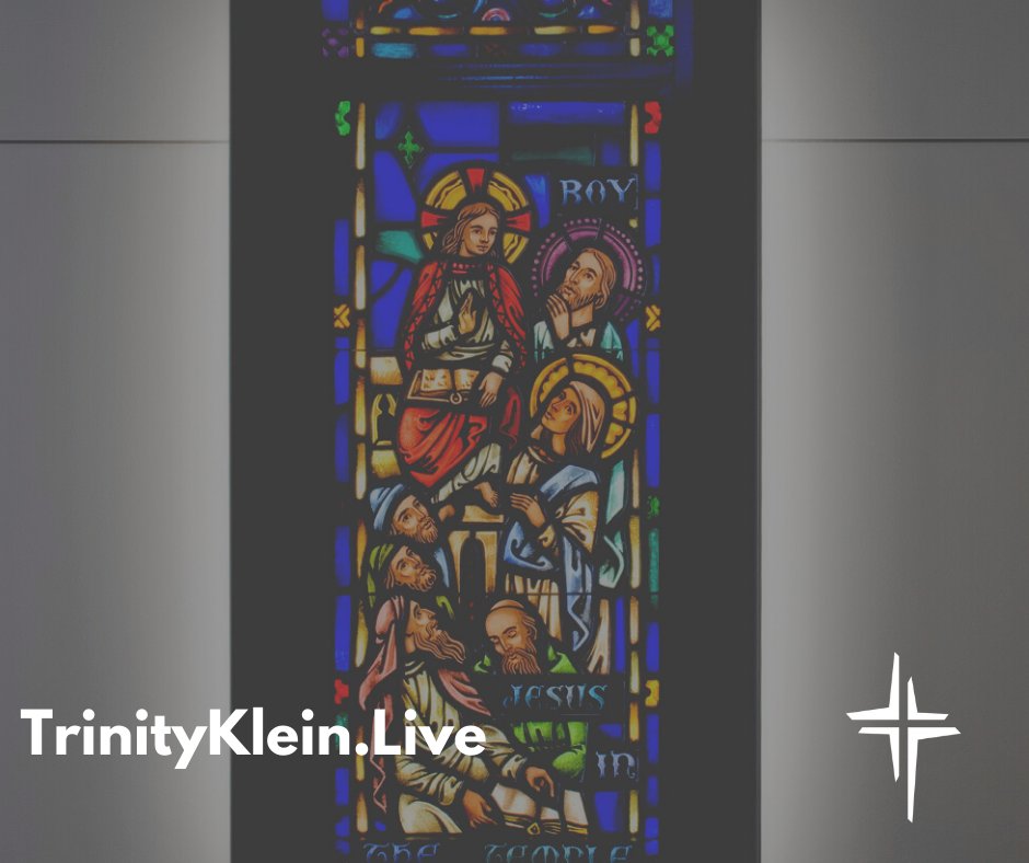 Trinity Klein tweet media