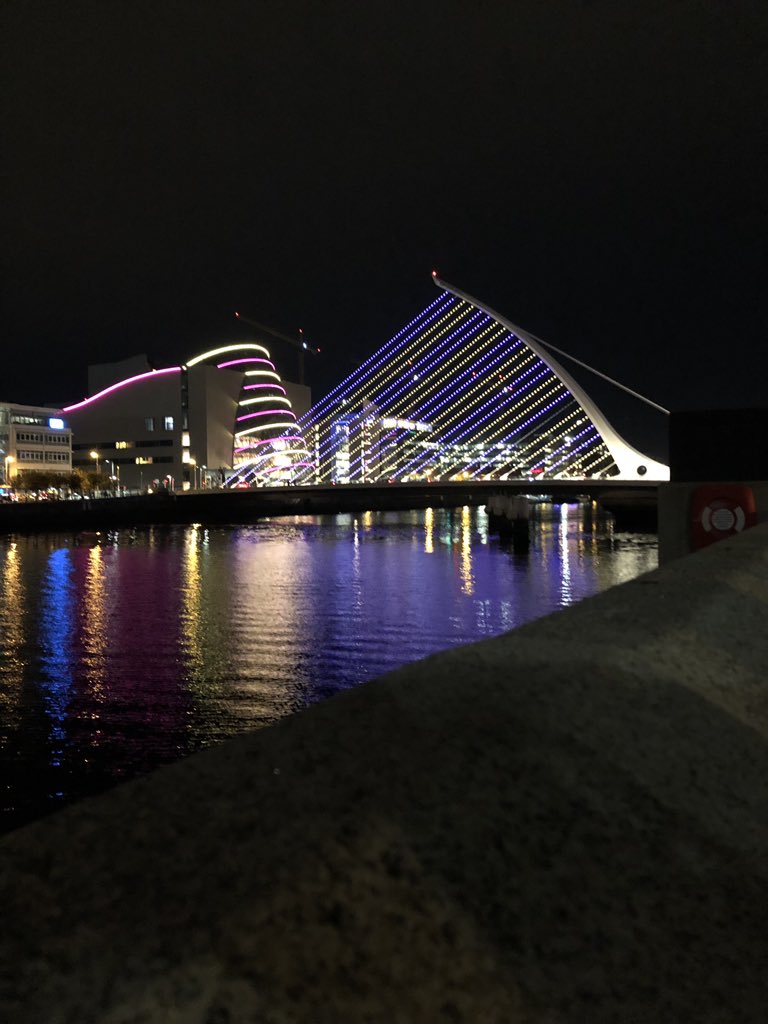 Dublin’s Samuel Beckett Bridge and Dublin Castle lit up beautifully tonight all to raise awareness for #DLDSEEME 💜💛