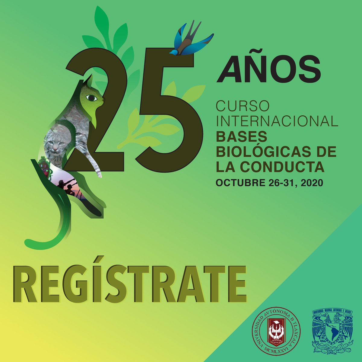 🚨REGISTRATE!!!

registrodeeventos.mx/25years/

#biologia #conductaanimal #comportamientoanimal #cientificos #talleres #animales #biologicalsciences #cursosonline #cursoonline #eventoonline #unam #mexico #cienciasunam @fciencias @UATxOficial @UNAM_MX @Ciencia_UNAM