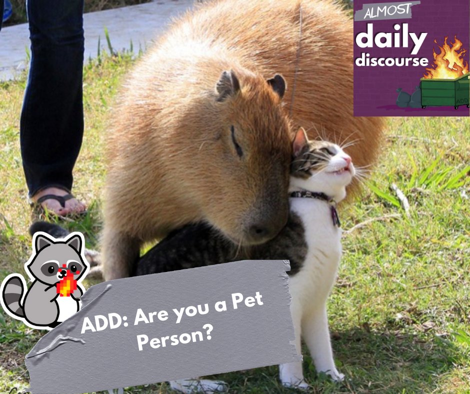 AlmostDailyPod's tweet photo. "Do a Kick Flip!" says @futureXskeleton as he shows some love for local skate shops! He also asks @RockGodofPod @TonyPHenderson @ImaginaryNomad and @aSwanNamedEmily "Are you Pet People?" Actually he assumed we all love pets and was corrected. Listen now!  https://t.co/S8GbOa1Bdr https://t.co/jqs01PeJ77