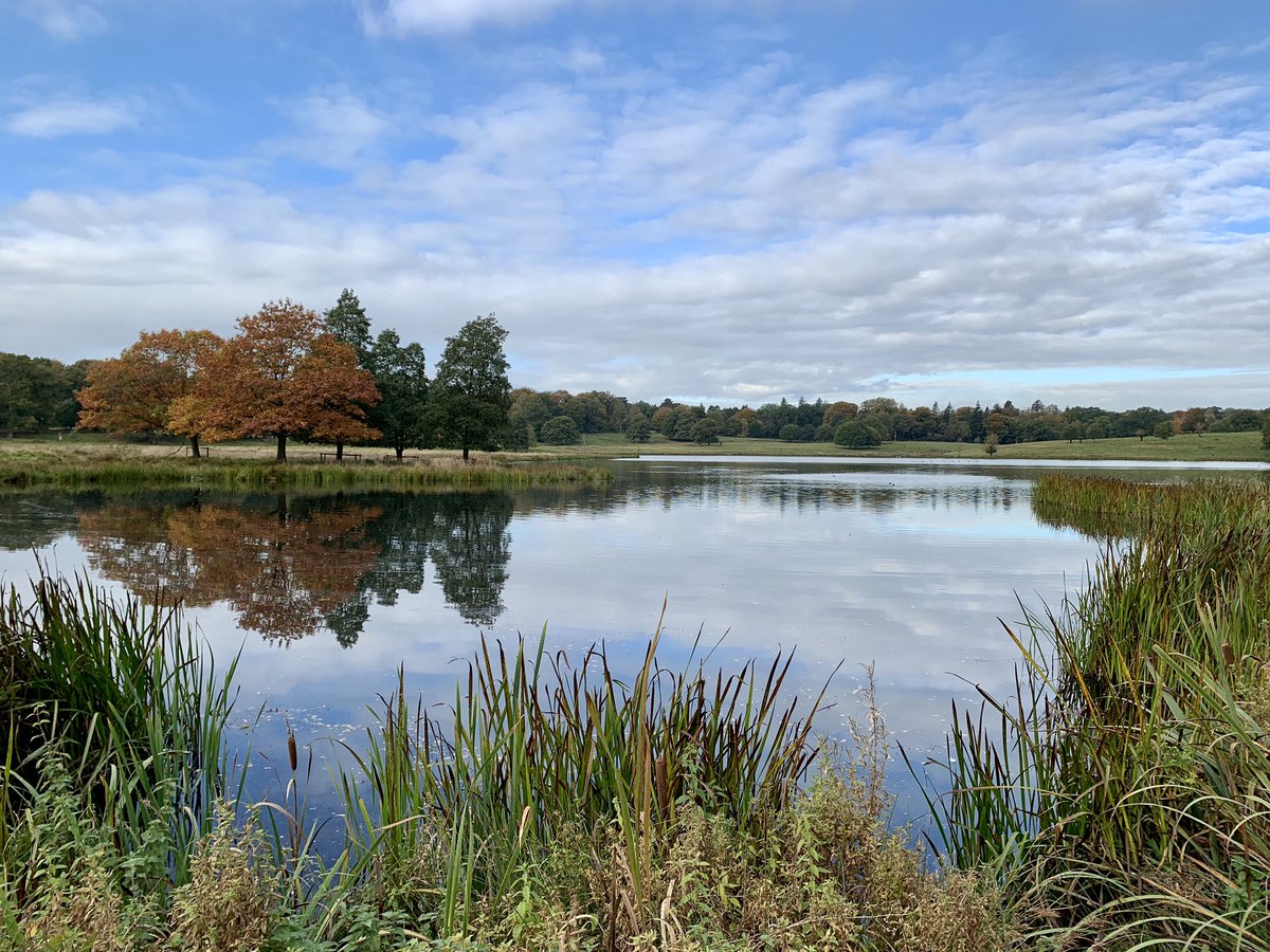 stepupformarie's tweet image. Day 16 for Marie. 👣👣👣

Lovely to have some company today...a good walk and a catch up in beautiful Tatton Park.  #stepupformarie #donate #fundraising #CerebralPalsy #funding #gofundme 

gofundme.com/f/step-up-for-…