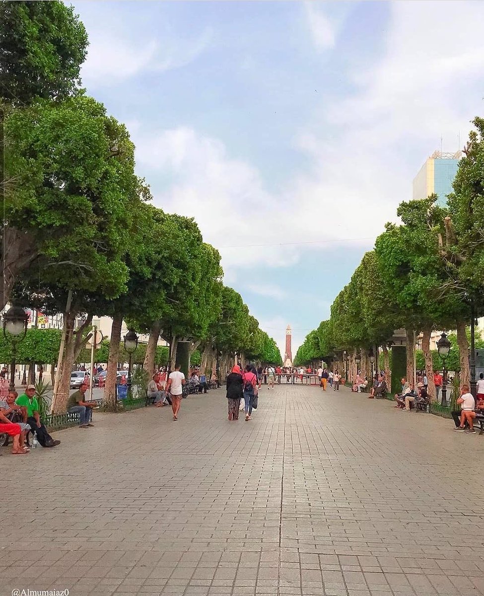 tunpost's tweet photo. Tunis downtown 📍 https://t.co/FxzyliLM9j