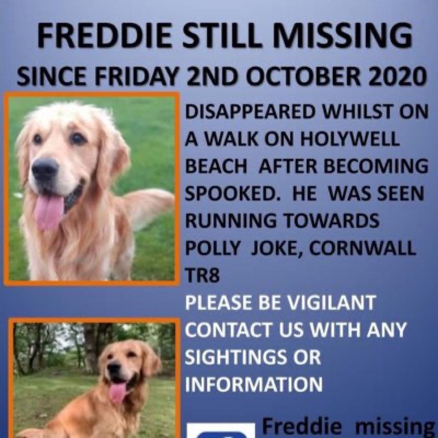 Freddie went missing whilst his family were on holiday. Please keep looking, his family are devastated x #findFreddie