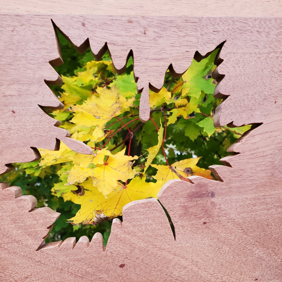 Oniixed's tweet image. Playing with my Maples 🍁 

#woodshop #woodworking #woodworkersofinstagram #woodworker #woodart #woodworkingshop #cabinetmaker #carpenter #woodcraft #diy #maker #furnituremaker #craftsman #epoxyart #resinart #epoxy #resin  #mainewoodworker #mainelife #mainely