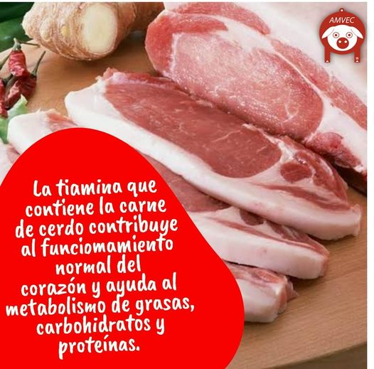 AcAmvec's tweet image. #AMVECAC #ProteinaAnimal