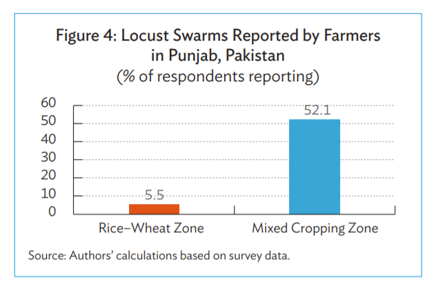 (8/n) More than half of respondents operating in 'mixed cropping zone' also reported Locust related disruptions. The report notes, "A locust infestation of such magnitude has not occurred in Pak for more than 25 yrs &, with outdated infrastructure, the govt is ill-equipped to..."