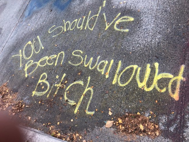 This is what our Mayor found at her house this morning.  Uncivilized, and frankly seventh-grade stuff.  Come on people.  We need to build some bridges to solve our social problems.  Name calling and spray paint don't hack it.