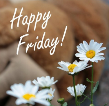 OliveLucys's tweet photo. Start your weekend with us! #olivelucys https://t.co/BvcOo6c1Cb