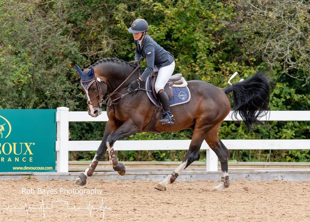 _k8_e_'s tweet photo. Could this boy be any more handsome 😍🤩😎 #heartbreakerstallion https://t.co/B4cenvBqyn