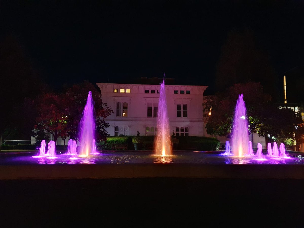 Fountain at @UL lit up purple and yellow for #DLDawarenessday 💜💛 @RADLDcam @AlliedHealthUL #DLDSeeMe