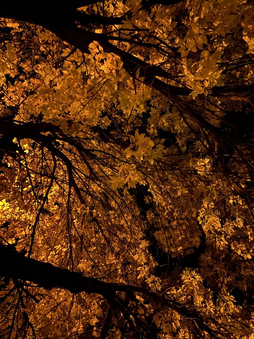 My favorite time of the year! ❤️#autumn https://t.co/vjJ3yJ2qKD<a href="/tag/autumn"class="tags">#autumn</a>
