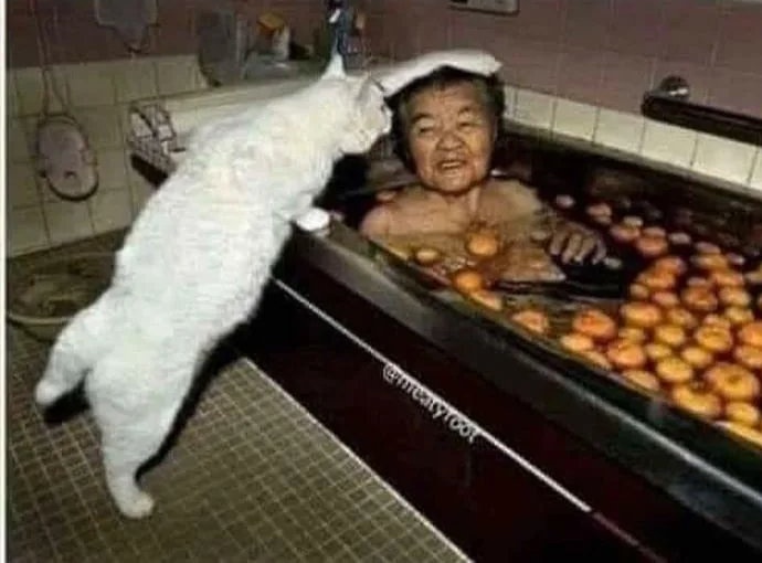 KaustubhSakhar8's tweet image. When it's opposite day and yout decides to make Chinese Soup 

#1AmClub