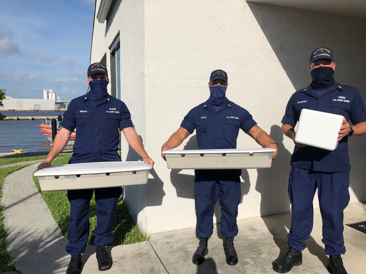 Protecting living marine resources is one of the 11 statutory missions of the #USCG. Station Fort Lauderdale crews worked alongside Gumbo Limbo Nature Center, Inc. to release these precious animals into their natural habitat. #SaveTheTurtles 🐢
