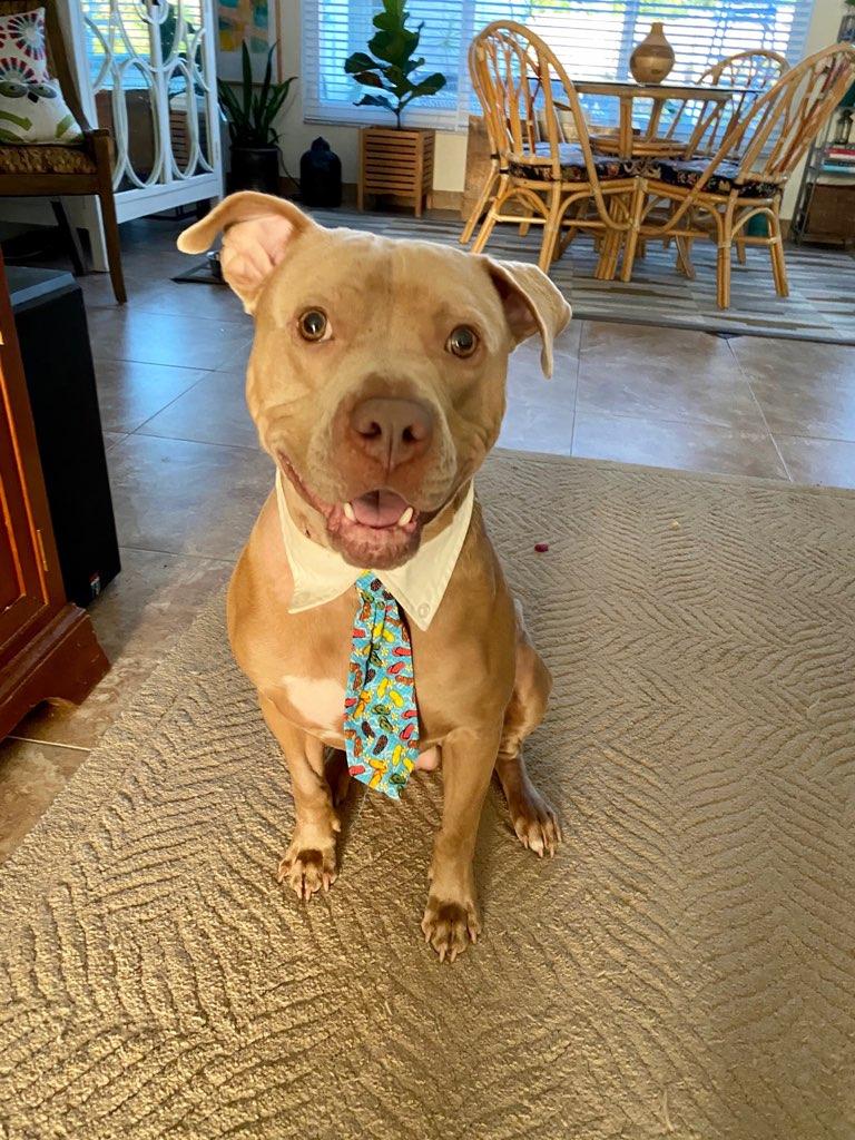 Gigi & James Garner tweet media