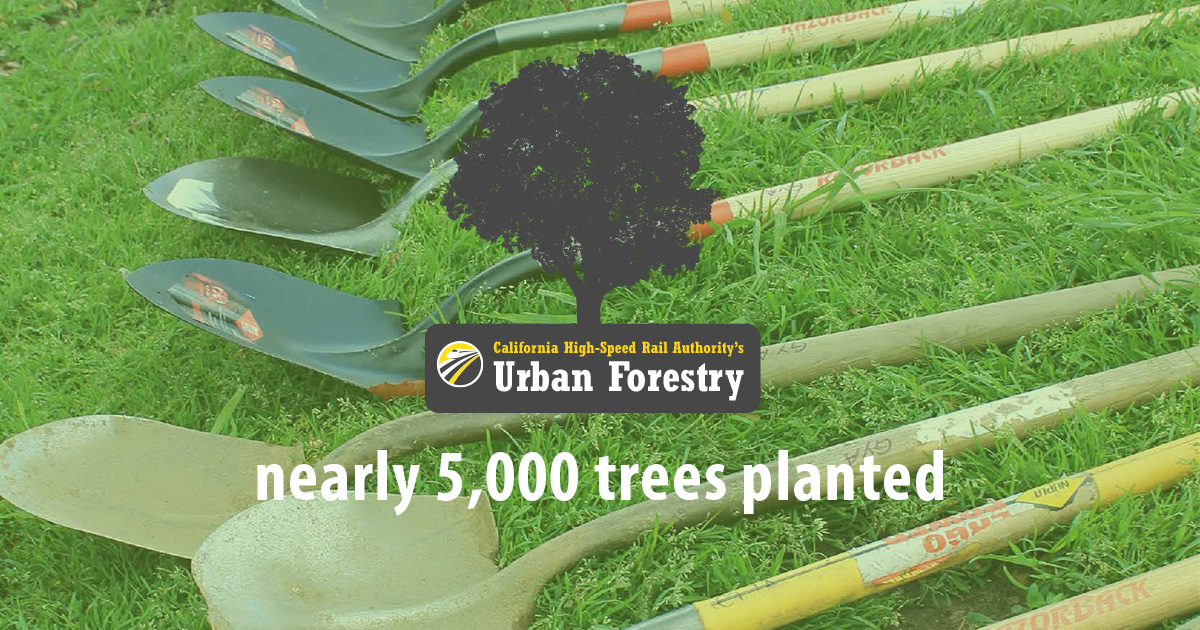 Through our urban forestry program, nearly 5,000 trees planted will sequester 25,000 tons of CO2 over the trees’ lifecycle. 

Planted primarily in disadvantaged communities, the trees help offset emissions generated during construction.

hsr.ca.gov/programs/green…