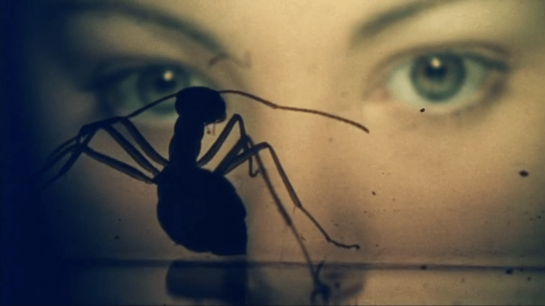 Phase IV (1974). Microphotography of real life ants with triangles and stuff glued to them. I hope it didn't hurt the ants, but it sure looks cool. The story is fine, but the visuals are top notch. Style abounds in this experimental-ish film from Saul Bass.