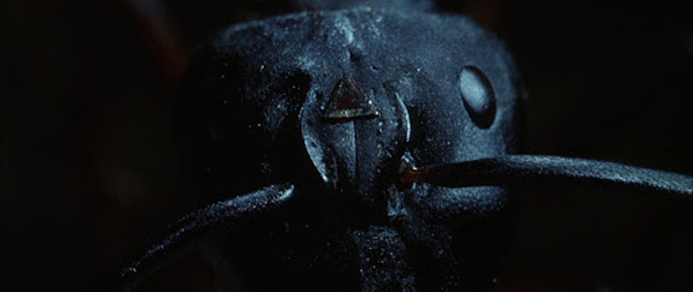 Phase IV (1974). Microphotography of real life ants with triangles and stuff glued to them. I hope it didn't hurt the ants, but it sure looks cool. The story is fine, but the visuals are top notch. Style abounds in this experimental-ish film from Saul Bass.
