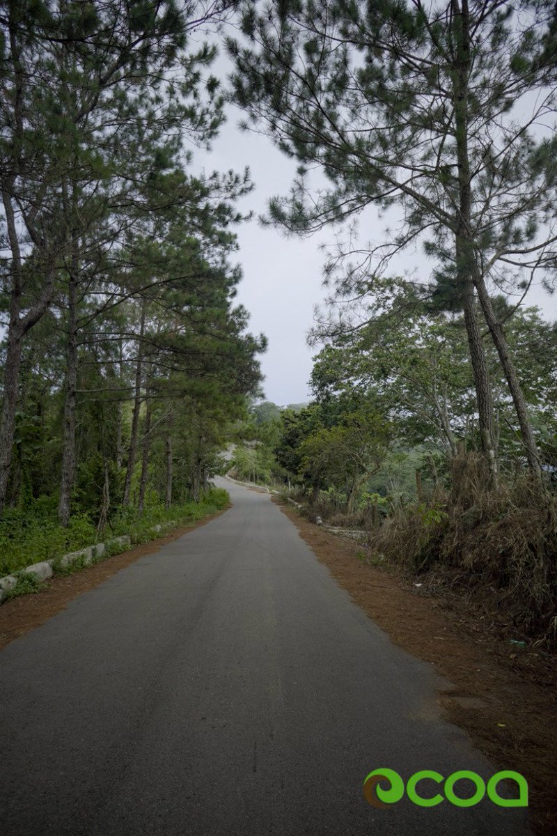 El camino será el indicado cuándo tienes las herramientas necesarias para atravesarlo. 
#Visitocoa 
#OcoaEsIrresistible 
#OcoaEsParaDescubrirlo 
#Taton 
#Ecoturismo 
@MTurismoRD