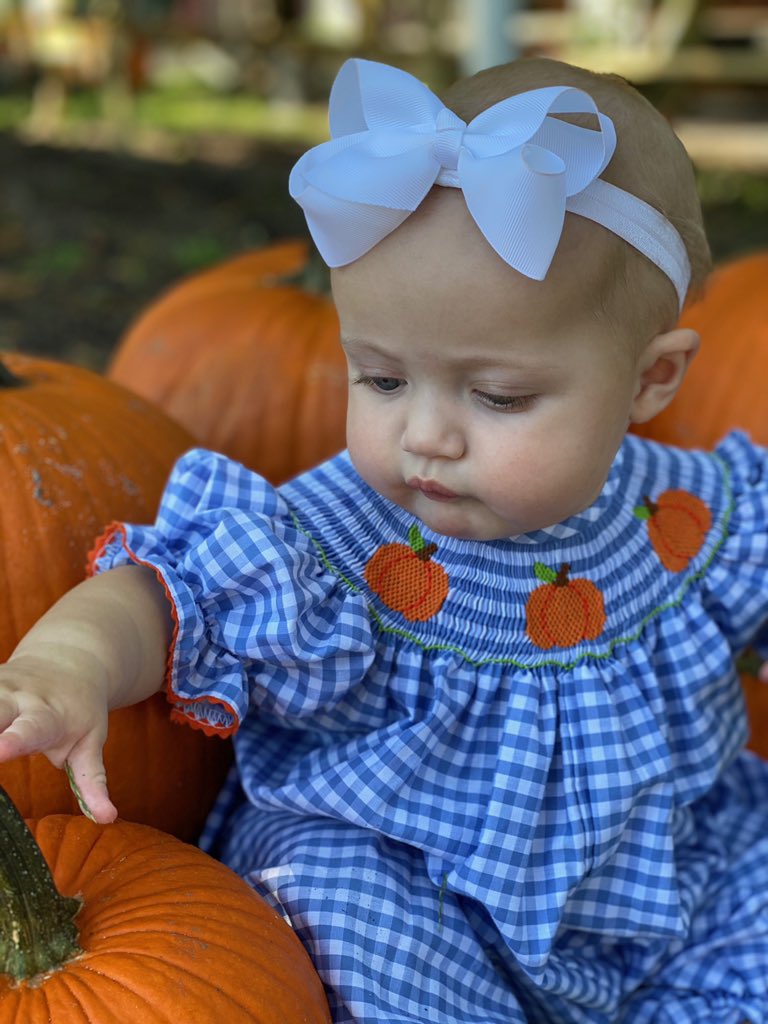 MIchelle BAnack tweet media