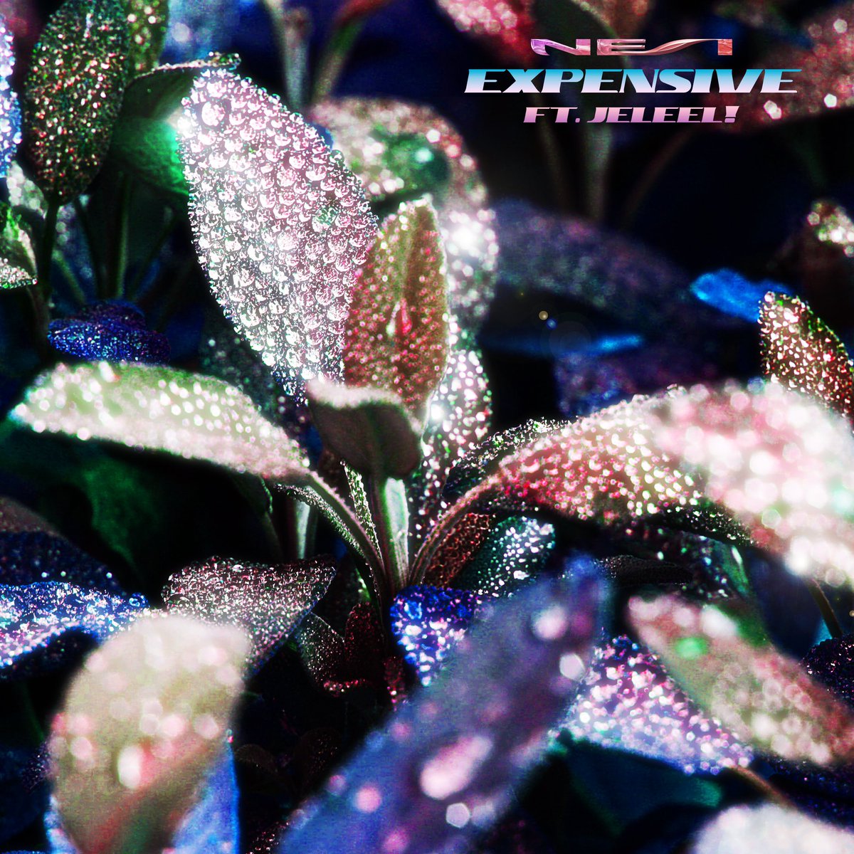 nesimento's tweet image. NEW MUSIC: Juss dropped a 2-Pack off...lmk which one ya favorite 🔥

1. Expensive feat. @jeleeeel 
2. Accent

linktr.ee/nesi.code