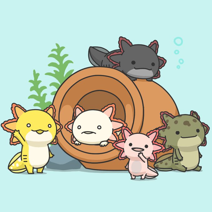 ウーパールーパーのtwitterイラスト検索結果