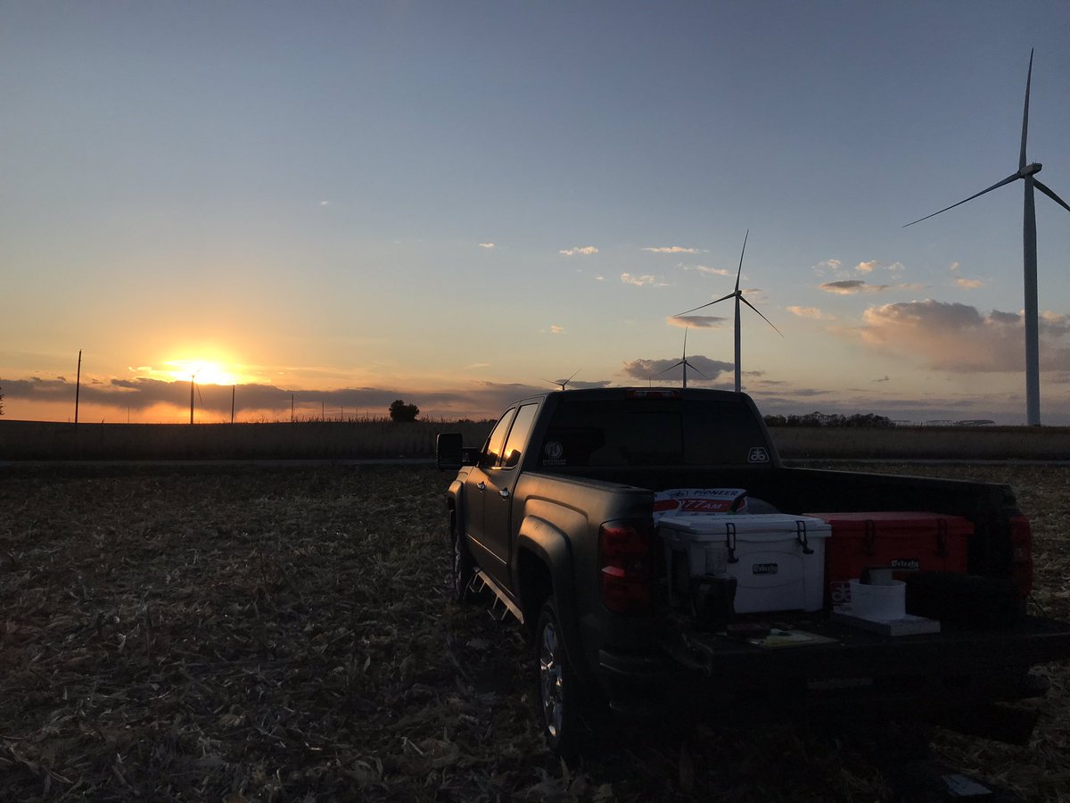 Beautiful night for our 28 entry plot!  P1185Q takes home 1st place 🏆<a href="/PioneerSeeds/">Pioneer Seeds U.S.</a> <a href="/pivotbio/">Pivot Bio</a>