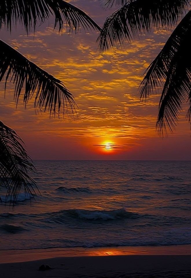 SolyMar🌷 (@solymar66091744) on Twitter photo <a href="/Spencerjames211/">Spencer James #GAINWITHPETAL #TMPETAL #Teamspirit</a> <a href="/mvf7186/">#TmSofia</a> <a href="/monicasloves/">Monica Cates</a> @DispurseStar1 @Negrashow <a href="/PetalsBFF/">Randi Admn: Petal Teams</a> <a href="/Aluddin19/">Aluddin19</a> @maddykins133 <a href="/louzival2011/">🇧🇷Louzival 2011 MGWV</a> <a href="/9339wingmen/">@9339Wingmen</a> <a href="/TheLoneWolF_1/">TheLoneWolF×÷·.·´¯`🐺</a> <a href="/Diane1Queen/">🌹Diane🌹</a> <a href="/swydersk/">Deb #TmPetaL🌹#Resist💙 #NeverTrump Enjoy the ride</a> <a href="/SergioA60798547/">Sergio</a> Good Night Friends
#Tmpetal 5
<a href="/mvf7186/">#TmSofia</a>
<a href="/monicasloves/">Monica Cates</a>
@DispurseStar1
@Negrashow
<a href="/PetalsBFF/">Randi Admn: Petal Teams</a>
<a href="/Aluddin19/">Aluddin19</a>
@maddykins133
<a href="/louzival2011/">🇧🇷Louzival 2011 MGWV</a>
<a href="/9339wingmen/">@9339Wingmen</a>
<a href="/SolyMar66091744/">SolyMar🌷</a>
<a href="/TheLoneWolF_1/">TheLoneWolF×÷·.·´¯`🐺</a>
<a href="/Diane1Queen/">🌹Diane🌹</a>
<a href="/swydersk/">Deb #TmPetaL🌹#Resist💙 #NeverTrump Enjoy the ride</a>
<a href="/SergioA60798547/">Sergio</a>
#PetalsTm
#teamspirit <a href="/Spencerjames211/">Spencer James #GAINWITHPETAL #TMPETAL #Teamspirit</a> <a href="/mvf7186/">#TmSofia</a> <a href="/monicasloves/">Monica Cates</a> @DispurseStar1 @Negrashow <a href="/PetalsBFF/">Randi Admn: Petal Teams</a> <a href="/Aluddin19/">Aluddin19</a> @maddykins133 <a href="/louzival2011/">🇧🇷Louzival 2011 MGWV</a> <a href="/9339wingmen/">@9339Wingmen</a> <a href="/TheLoneWolF_1/">TheLoneWolF×÷·.·´¯`🐺</a> <a href="/Diane1Queen/">🌹Diane🌹</a> <a href="/swydersk/">Deb #TmPetaL🌹#Resist💙 #NeverTrump Enjoy the ride</a> <a href="/SergioA60798547/">Sergio</a> Good Night Friends
#Tmpetal 5
<a href="/mvf7186/">#TmSofia</a>
<a href="/monicasloves/">Monica Cates</a>
@DispurseStar1
@Negrashow
<a href="/PetalsBFF/">Randi Admn: Petal Teams</a>
<a href="/Aluddin19/">Aluddin19</a>
@maddykins133
<a href="/louzival2011/">🇧🇷Louzival 2011 MGWV</a>
<a href="/9339wingmen/">@9339Wingmen</a>
<a href="/SolyMar66091744/">SolyMar🌷</a>
<a href="/TheLoneWolF_1/">TheLoneWolF×÷·.·´¯`🐺</a>
<a href="/Diane1Queen/">🌹Diane🌹</a>
<a href="/swydersk/">Deb #TmPetaL🌹#Resist💙 #NeverTrump Enjoy the ride</a>
<a href="/SergioA60798547/">Sergio</a>
#PetalsTm
#teamspirit
