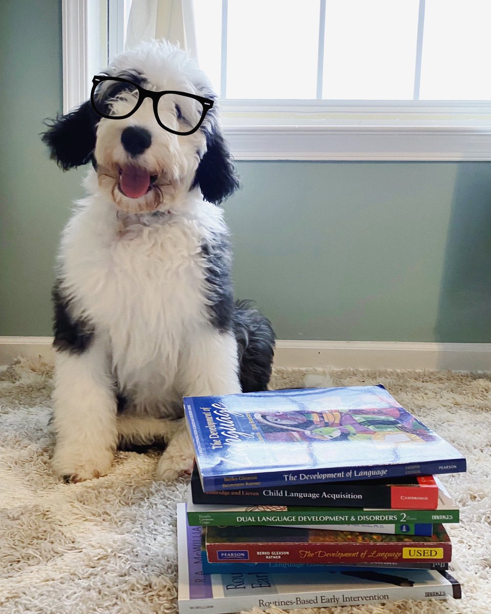 Hello twitter world! My puppy (Puff the magic sheepadoodle) is here to share with you that today is Developmental Language Disorder Awareness day!!! Radld.org has so much good information 👀 Happy learning! #DLDawarenessday #dld #DLDSeeMe #Science