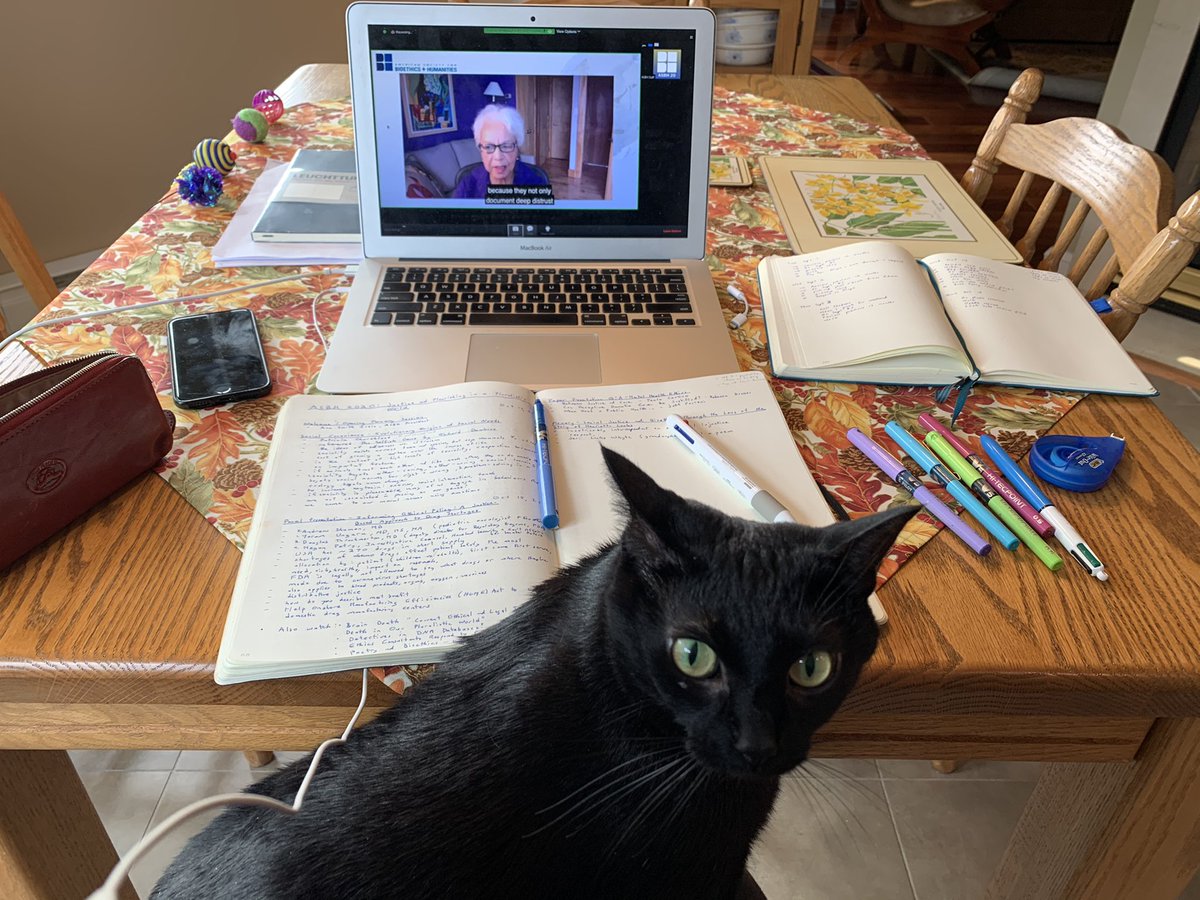 juliaegill's tweet photo. Persephone enjoyed hearing from Henrietta Lacks’ granddaughter, Jeri Lacks Whyte. Even though kit-cat’s face doesn’t show it, Jeri’s words were powerful &amp; it was an absolute privilege to hear her family’s perspective #ASBH20 #PetsofASBH20 #FelineBioethicist #ToysAndNotes https://t.co/RNYV8gkVtH