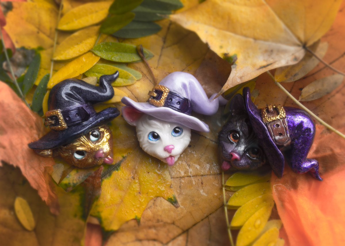 Twitter will see it first! 
My little handmade witcher kitties!🎃
Who need Magic Cats in Hats?
I have it here!

etsy.me/342vDBl

#halloweenpin #catsinhats #halloweengift #Spooktober