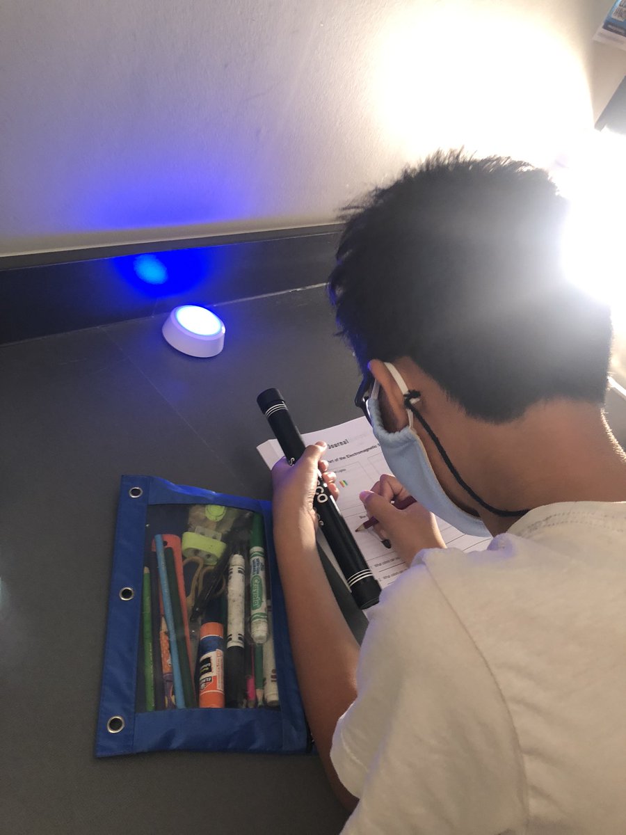 6th grade MAP exploring visible light with spectroscopes! 🌈  #scienceisaverbinalvinisd