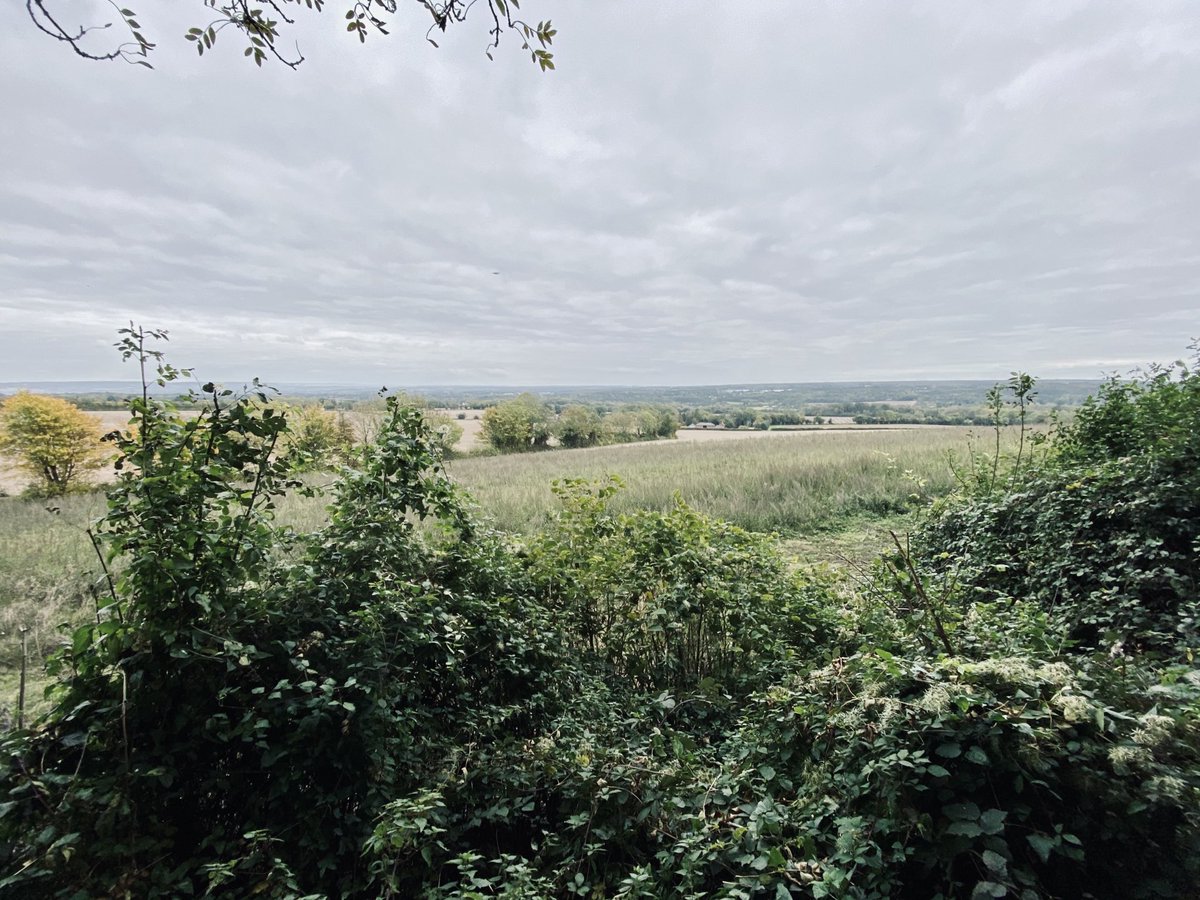 hempsonstdl2020's tweet photo. Here’s @graemetrigg’s view from Pilgrim’s Way today en route back to Gravesend from Hildenborough. #YourTourdeLaw #TeamHempsons https://t.co/z5btxmnka3