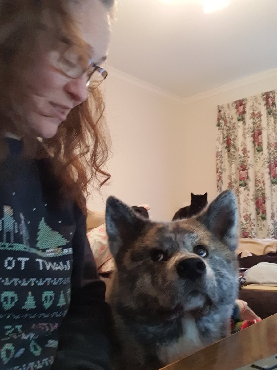 petahill26's tweet photo. @Dei_Merry @thetracysimone @lu_fitz My baby girl Okami keeping me company and providing grammar advice!! Supervisor Minnie watches on #PetsinSTEM @thezedbee any pets? https://t.co/E0Cf154VDt