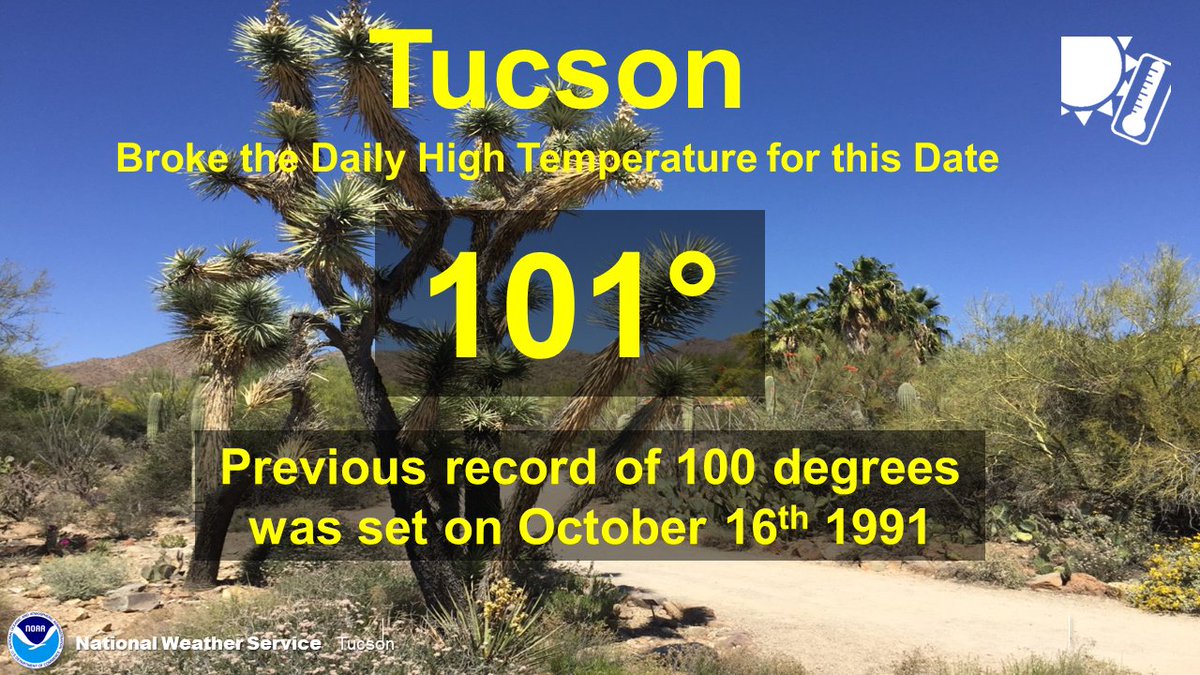 Well, we did it. Tucson broke the record high. It was 101 degrees today, breaking the old record of 100 degrees set back in 1991.  #azwx