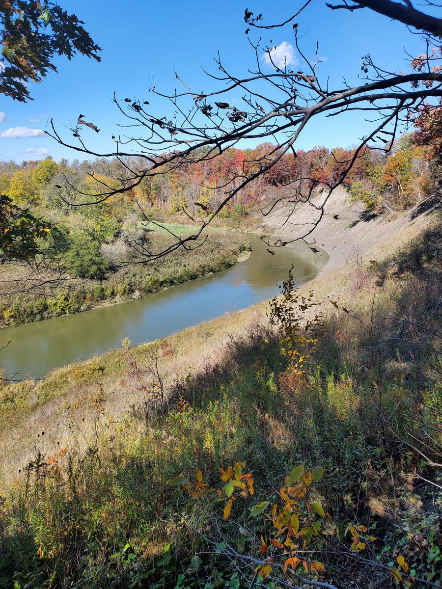 What a beautiful afternoon/evening! Bumped a couple does walking back but no bucks #getoutdoors #countrylife #deerseason2020