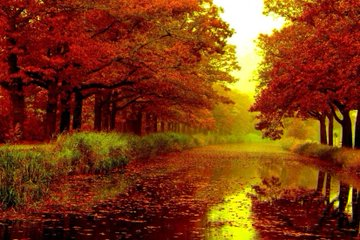 dorianaur's tweet photo. The #soul that sees #beauty may sometimes walk alone.~ Von Goethe https://t.co/FhMz8dM02m
#COVID19 #phobia #invest #mentalhealth #therapy #MentalHealthAwareness #depression #SuicidePrevention #SuicideAwareness #anxiety #PTSD #stress #sleep #AddBrain_Inc #Psychiatry #inspire https://t.co/03OJYQdP2Z