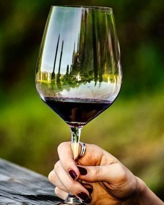 TGIF! Who is ready for a glass of wine?? #ImmortalEstate #ImmortalMoments #SonomaCabernet #WineLife 

{DM for credit}