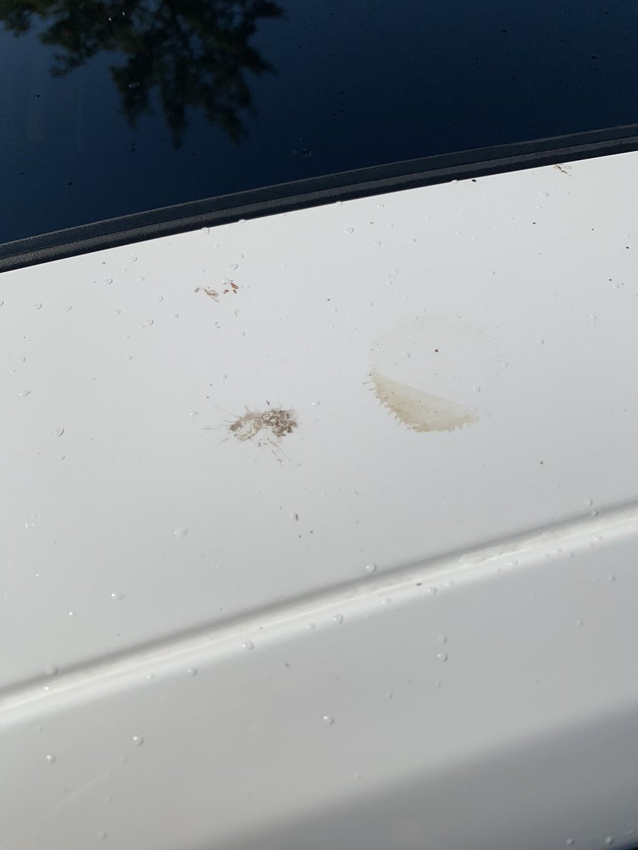After I cleaned it, the paint was stained and interior was damaged/stained as well. 4/