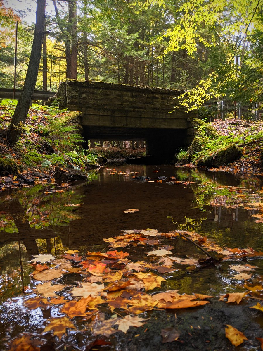 ethan_brentham's tweet photo. "Adopt the pace of nature. Her secret is patience." -Ralph Waldo Emerson #techwell https://t.co/TZZURZtr8Y