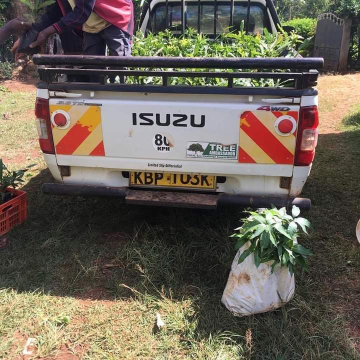 ImaitaRaphael's tweet photo. @TujengeKenya @IsuzuKenya @vivoenergykenya @Shell Crowning the road trip with tree planting would be awesome, let's restore #Nature & our Country will be truly #Magicalkenya #IsuzuDelivers #TeamDmax #TreeAmbassador #Inspiredbynature #ShellFuelSaves #ClimateAction @ItsMainaKageni @EliudKipchoge @IsuzuKenya @vivoenergykenya @kot https://t.co/Qv5Rdm2AVe