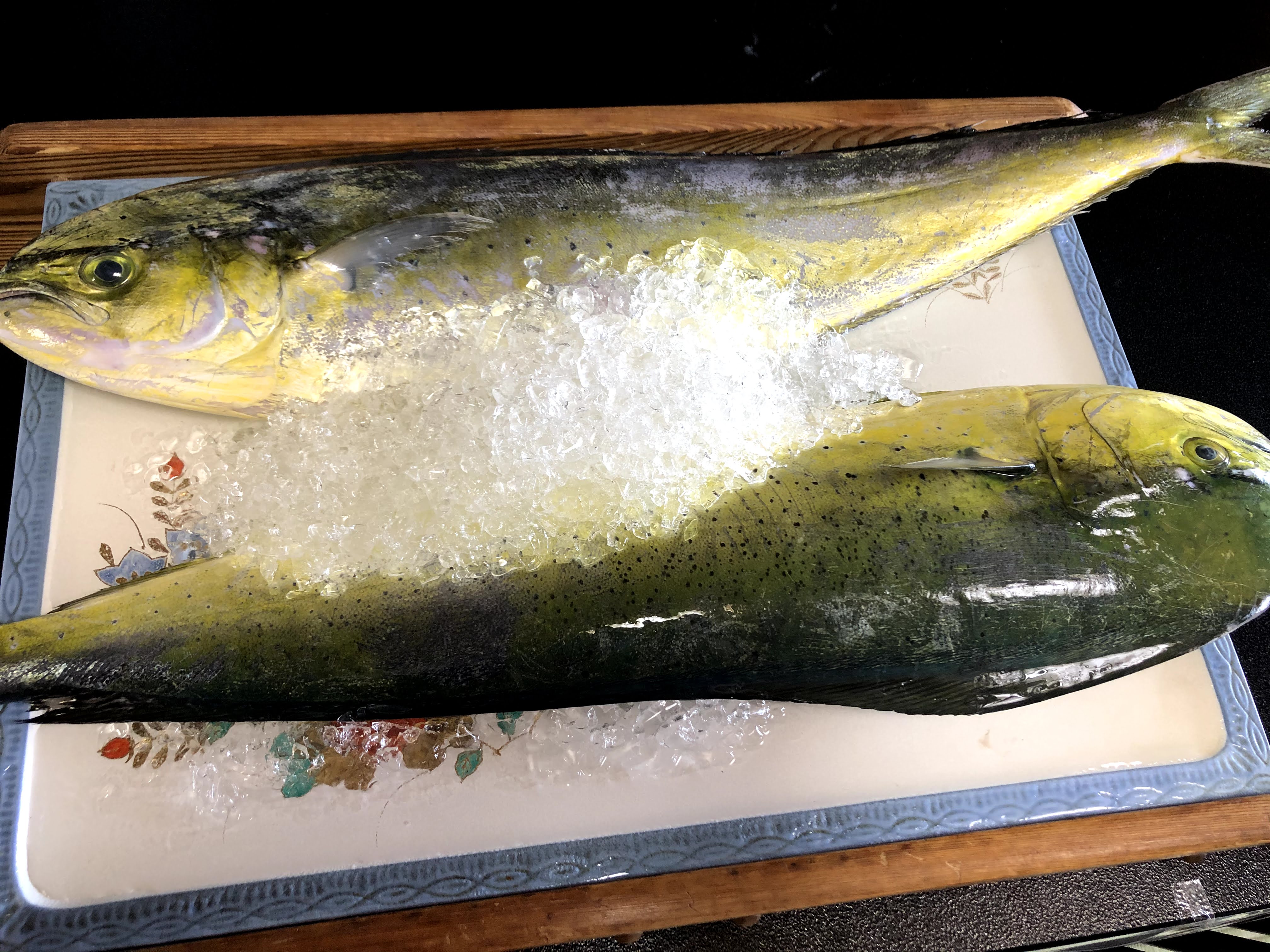 むろと廃校水族館 高知まで再々訪ねて 美味しいシイラ 食べる 都会には 無い無いメニューで あなたのシイラない魚介 不思議だね シイラ料理は メニューが豊富 かくしきれない旨味 １匹２匹３匹４匹 あふれ出しそうだよ 魚愛身 本当は赤身 沖合旅する 魚愛身