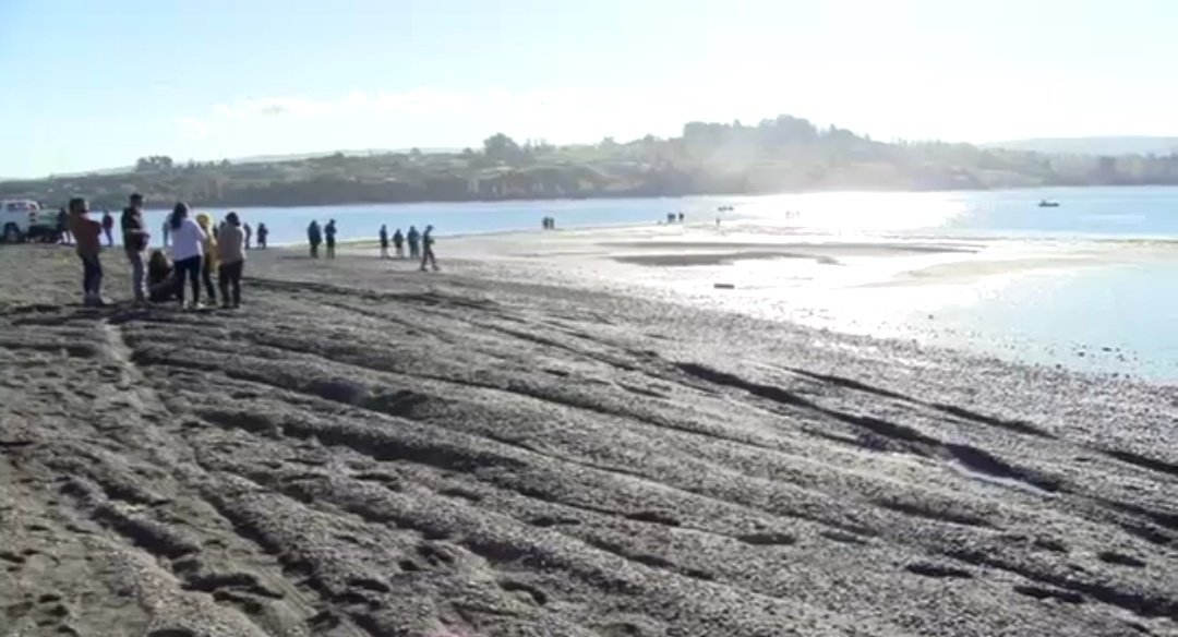 erchiloe's tweet photo. #Castro
Equipos de búsqueda encuentran el cuerpo sin vida de persona sexo masculino extraviada en sector playa #Quento, Península de Rilán.
📷 https://t.co/KYyrXh0Uyl https://t.co/2erw57rAvA