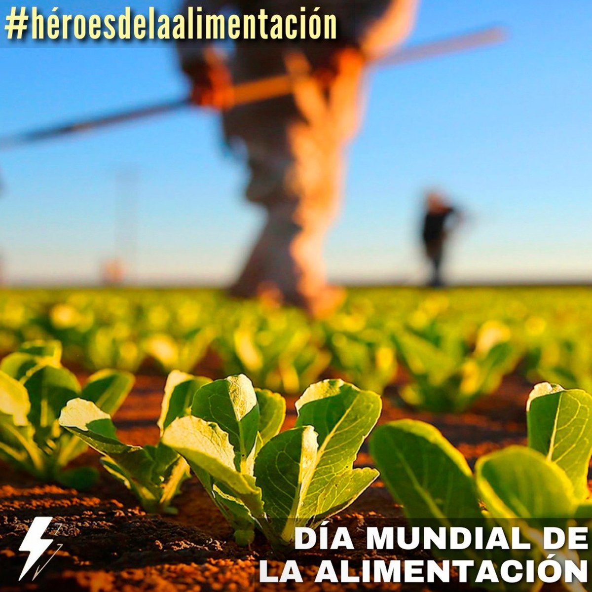 voltaje_tv's tweet photo. ¿SOMOS LO QUE COMEMOS?
.
👉Cada 16 de octubre y desde 1979 se celebra el Día Mundial de la Alimentación proclamado por la Organización de las Naciones Unidas para la Agricultura y la Alimentación (FAO).
.
📌Nota completa: https://t.co/PHfS8jfhTX
#informaciondinamica #voltajetv https://t.co/N6Jiy1r5Ts