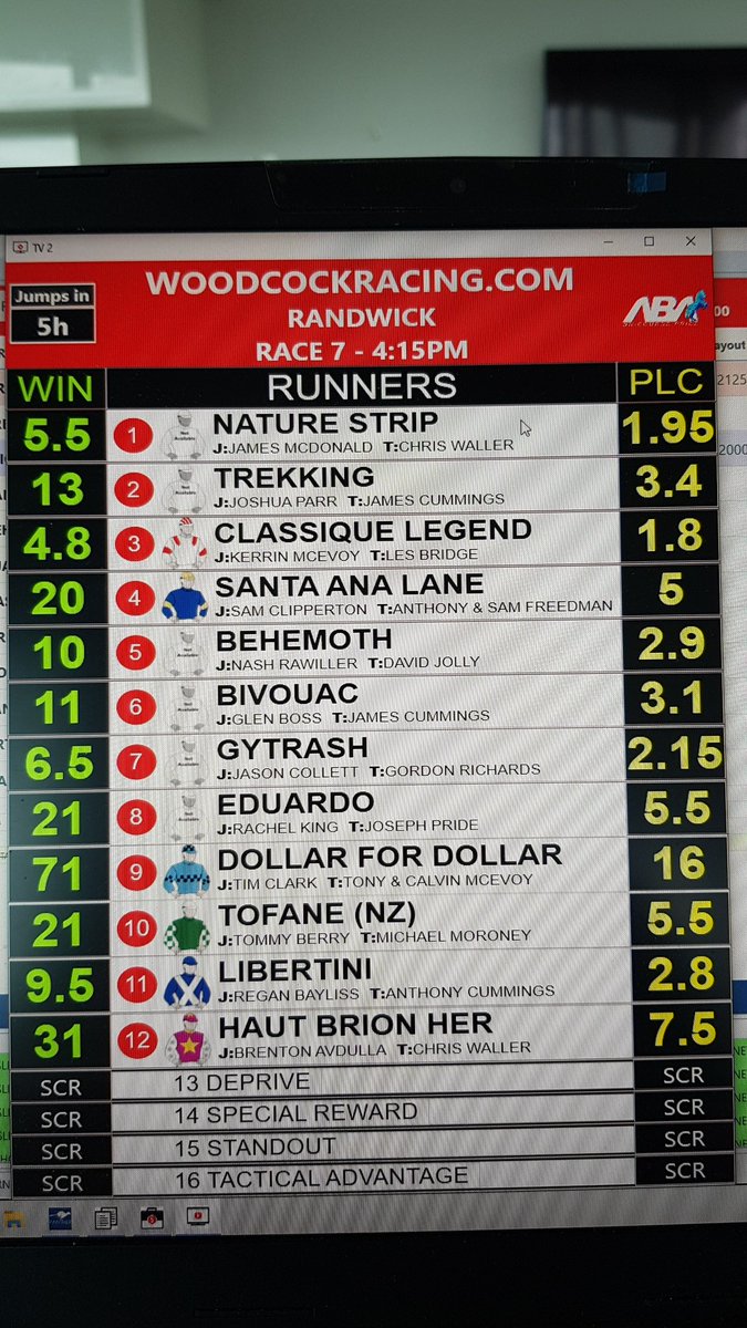 WoodcockRacing's tweet photo. 110% market on the Everest @royalrandwick  Good Luck All https://t.co/la8VJoF3yi